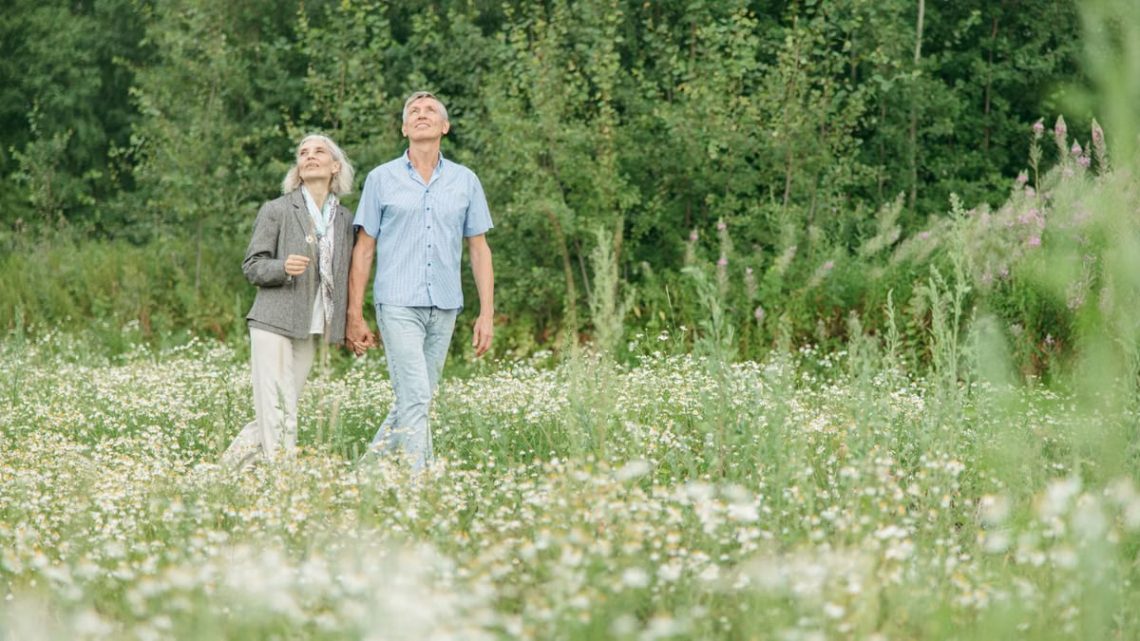 An elderly couple enjoying a peaceful walk in a scenic flower field on a sunny day.